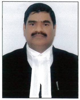 Judge